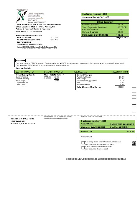 USA New Mexico electricity proof of address business utility bill template in Word and PDF formats